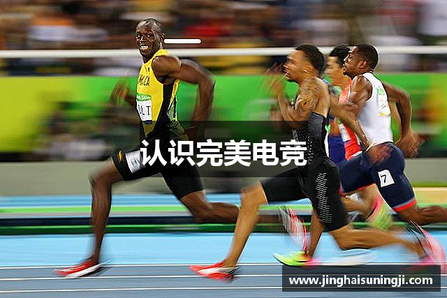 认识子萝卜汤网